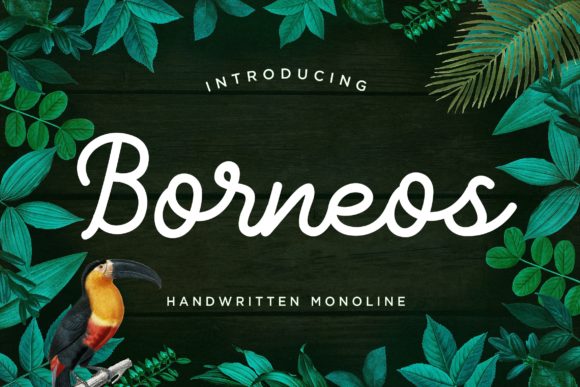 Borneos Font Review: A Unique Script for Designers