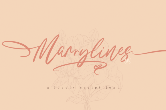 Marrylines Font Review for Elegant Branding