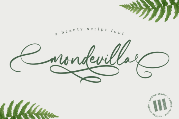 Mondevilla Font for Elegant Business Branding