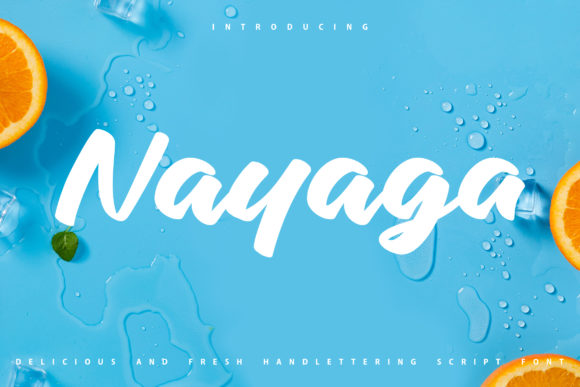 Nayaga Font: Thick Handwritten Style for Crafters