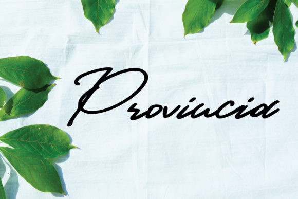 Provincia Font: Elegant Script for Editorial Design