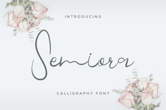 Semiora Font Review for Modern Campaigns