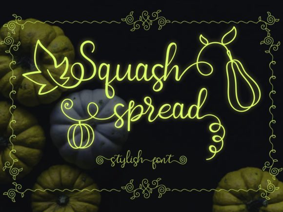 Squash Spread Typeface for Modern Web Design