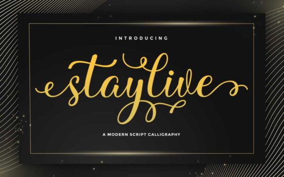 Stay Live Font for Elegant Web Design